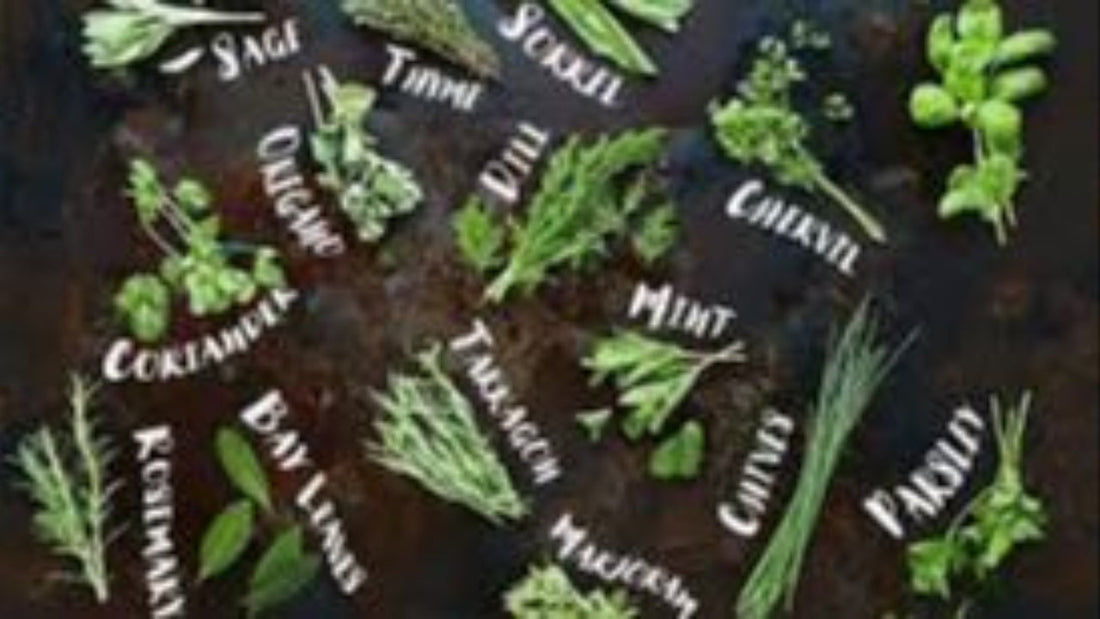 Health Benefits of Cooking with Herbs