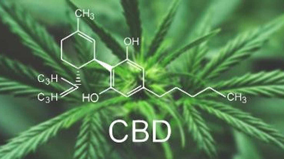 Six Benefits of CBD
