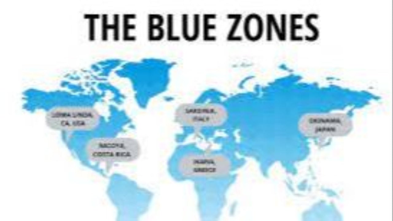 What can we Learn from Blue Zones?