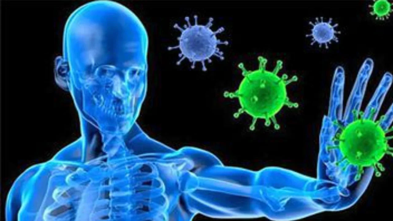 Cancer and the Immune System